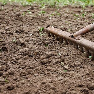 Clay soil