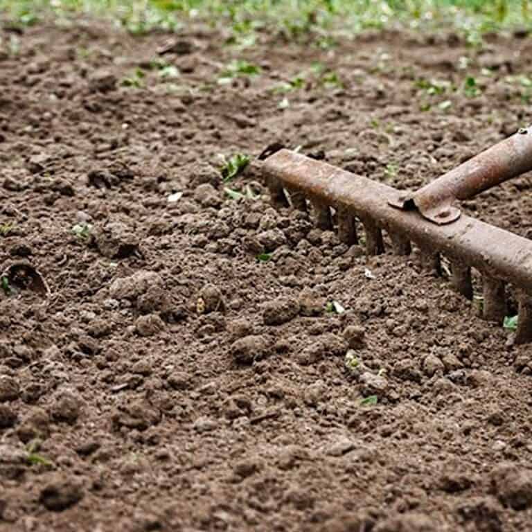 Clay soil