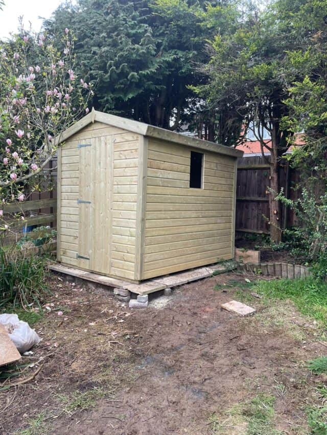 8 X 6 Ultimate Apex Shed